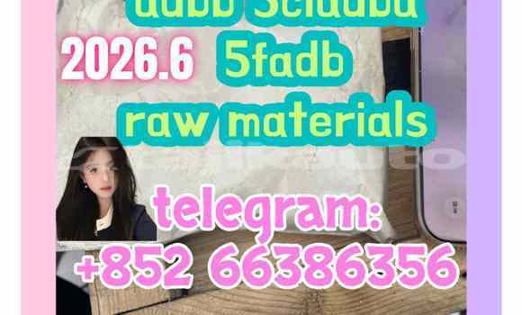 Medium with watermark 6
