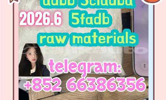 Medium with watermark 10