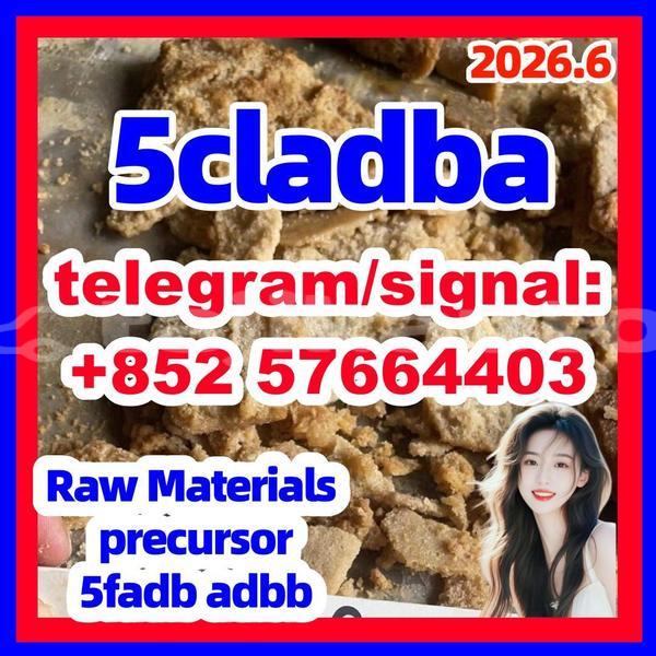 Big with watermark 511