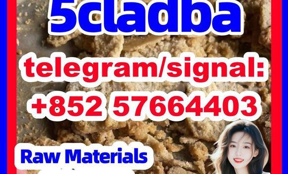 Medium with watermark 511