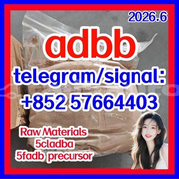 Big with watermark 517