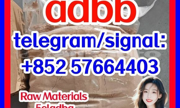 Medium with watermark 517
