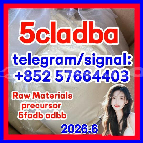 Big with watermark 513