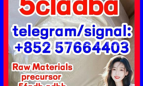 Medium with watermark 513
