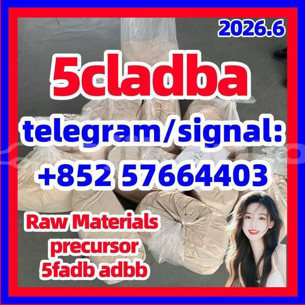 Big with watermark 519