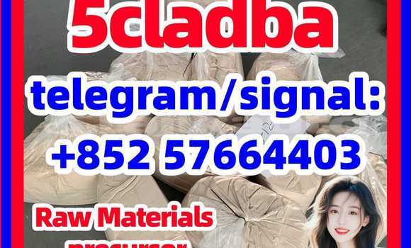 Medium with watermark 519