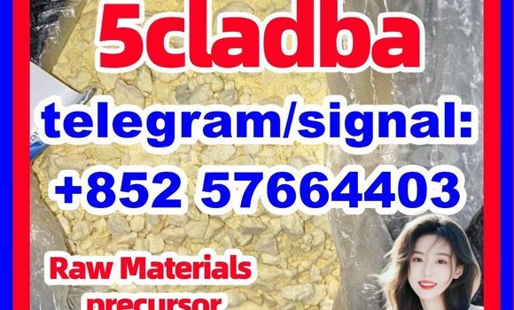 Medium with watermark 520
