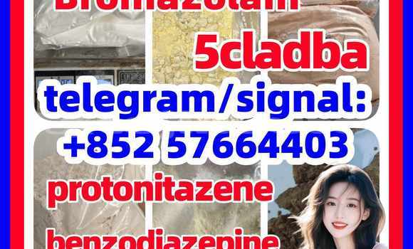 Medium with watermark z2