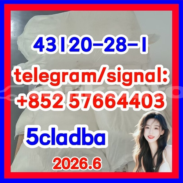 Big with watermark 43121
