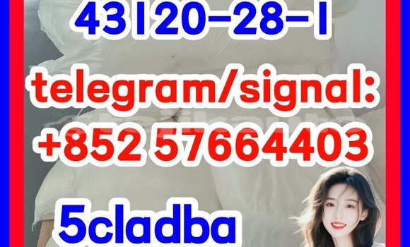 Medium with watermark 43121