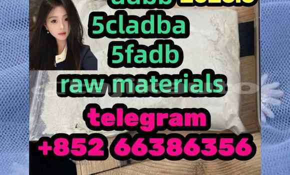 Medium with watermark 7