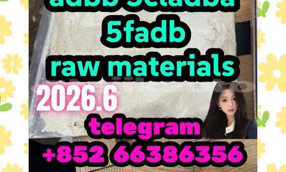 Medium with watermark 13