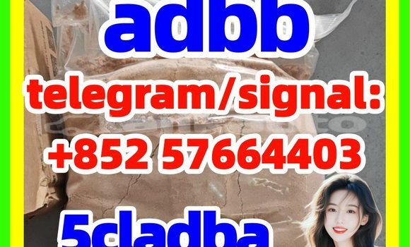 Medium with watermark 57