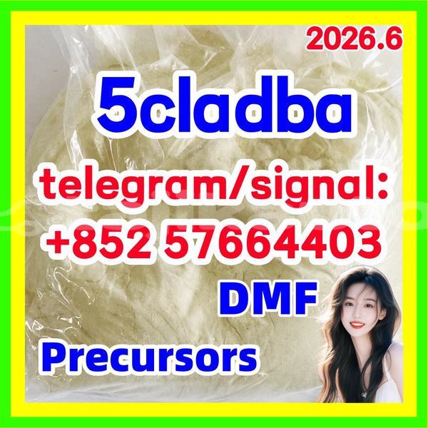 Big with watermark 53