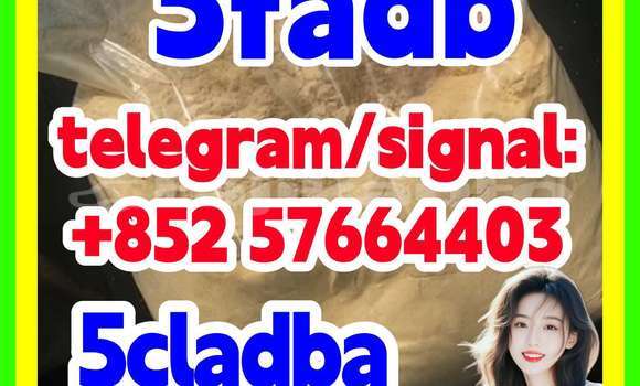 Medium with watermark 59