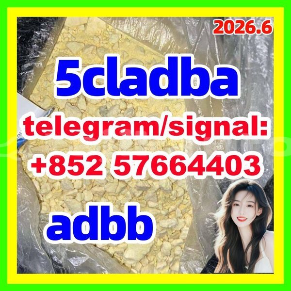 Big with watermark 55