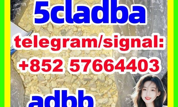 Medium with watermark 55