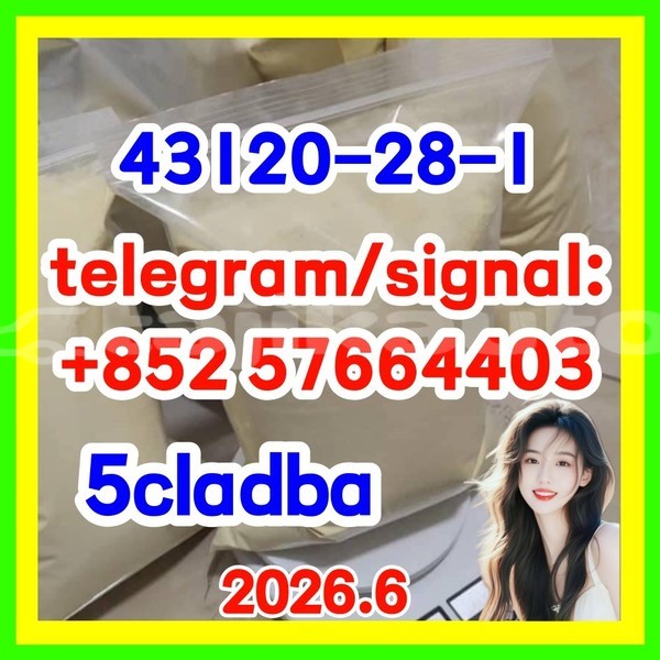 Big with watermark 511