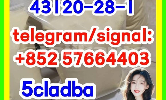 Medium with watermark 511