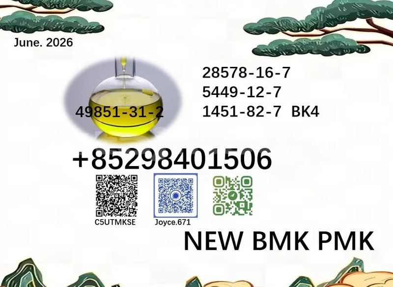 Big with watermark 49851 58