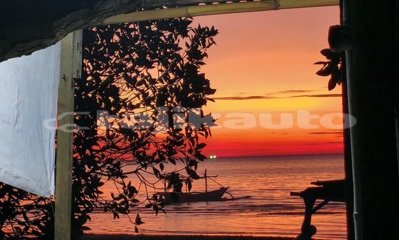Medium with watermark whatsapp image 2026 06 11 at 17.42.50