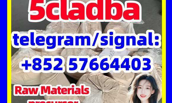 Medium with watermark 52