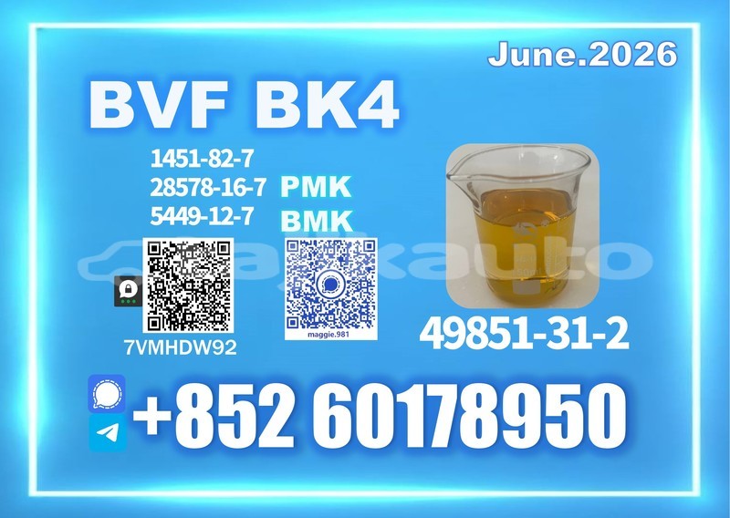 Big with watermark bvf cas 49851 31 2 warehouse stock photo