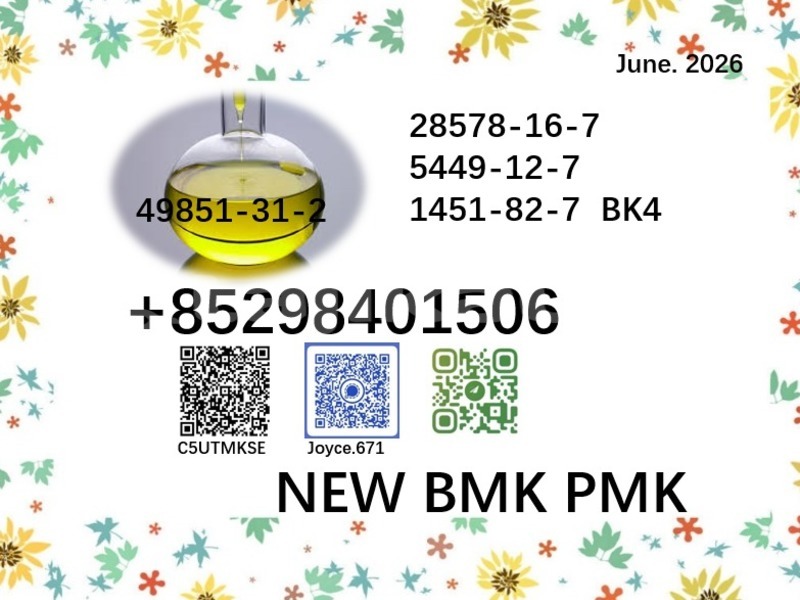 Big with watermark 49851 63