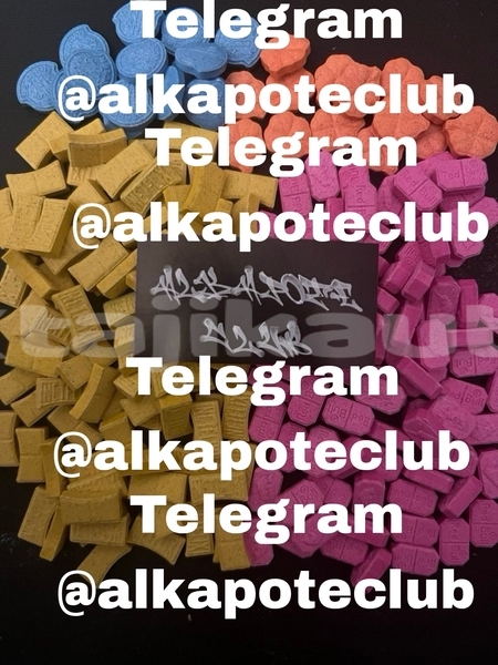 Big with watermark picsart 26 06 16 13 49 55 037