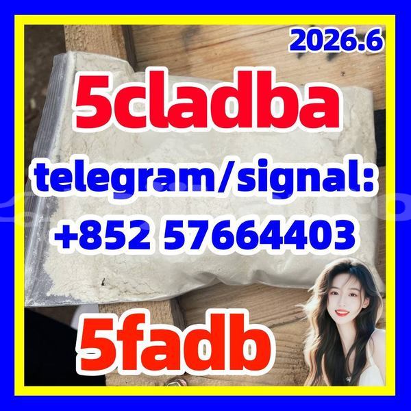 Big with watermark 56