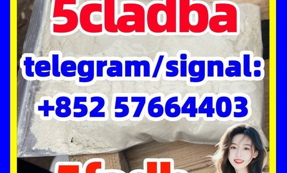 Medium with watermark 56