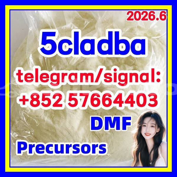 Big with watermark 54