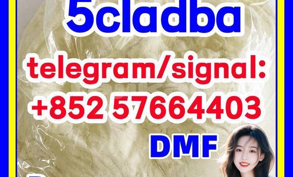 Medium with watermark 54
