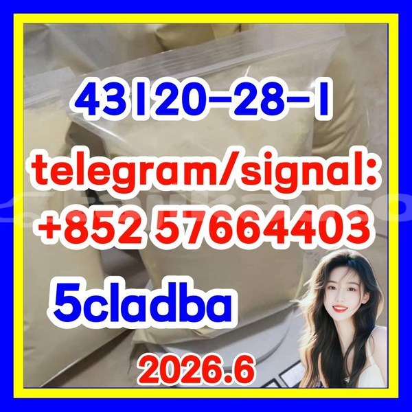 Big with watermark 511