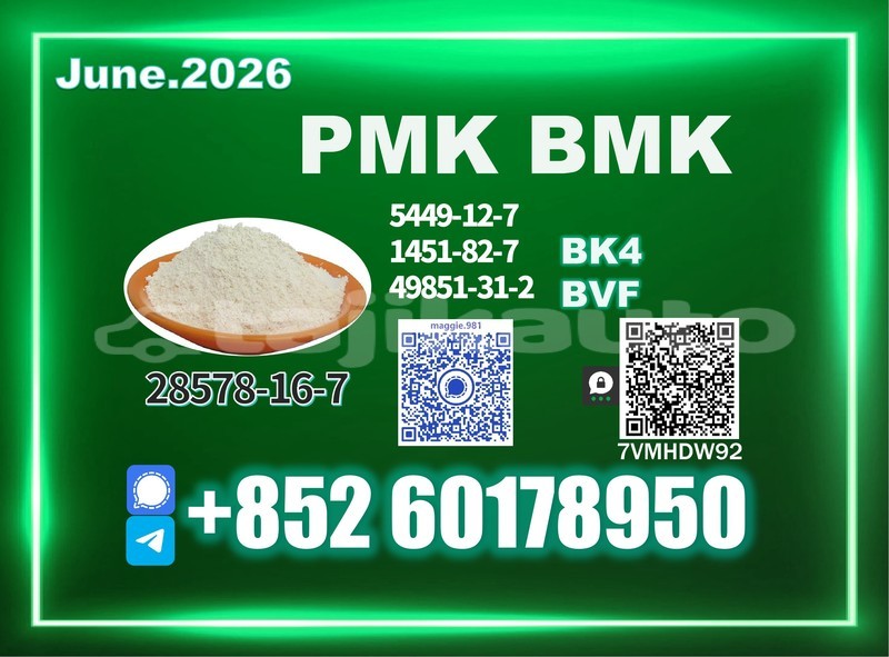 Big with watermark bmw 600 karotegin tursunzoda 30679