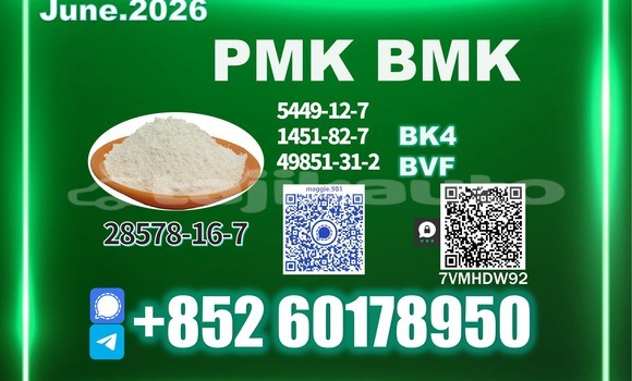 Buy Used BMW 600 White Car in Tursunzoda in Karotegin