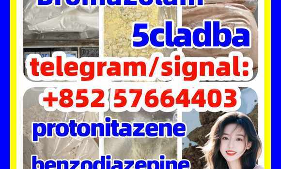 Medium with watermark z2