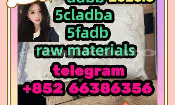 Medium with watermark 2