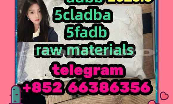 Medium with watermark 5