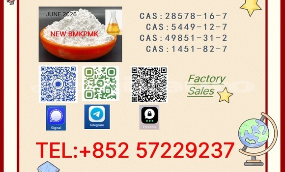Buy Used Alfa Romeo 156 Brown Car in Chkalov in Sughd