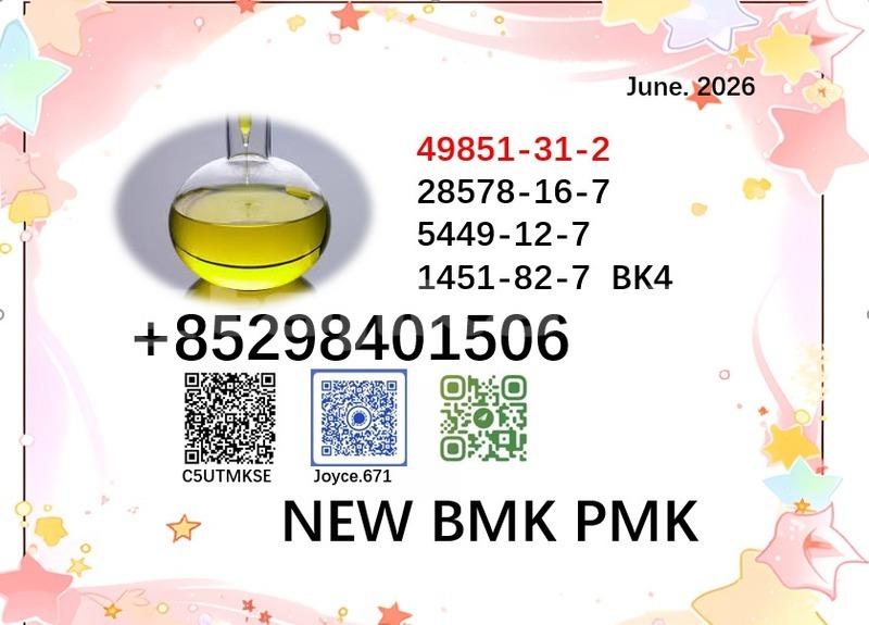 Big with watermark 49851 66
