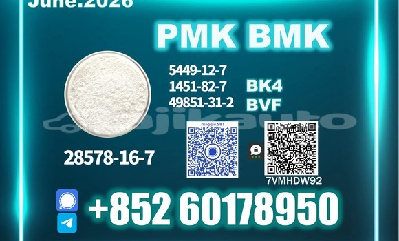 Medium with watermark pmk cas 28578 16 7 quality inspection process