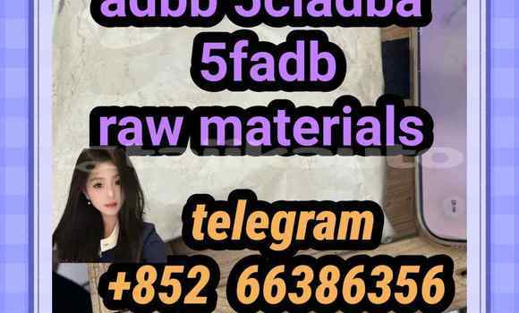 Medium with watermark 6