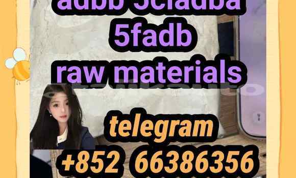 Medium with watermark 7