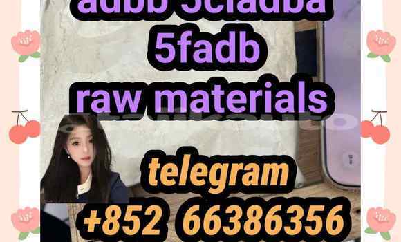 Medium with watermark 1