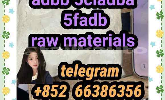 Medium with watermark 3