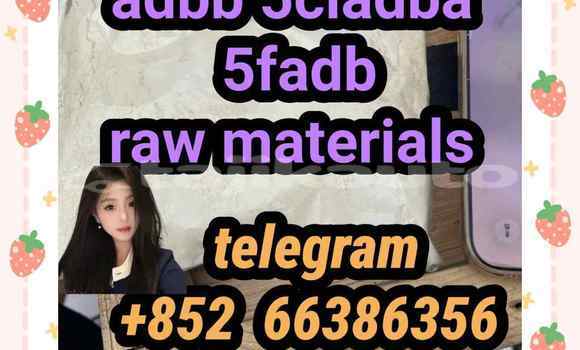 Medium with watermark 4