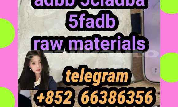 Medium with watermark 12