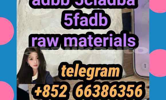 Medium with watermark 13