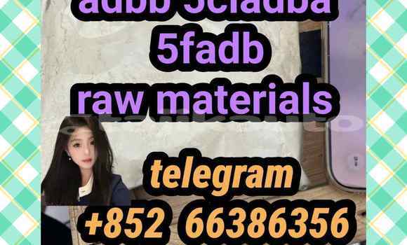 Medium with watermark 14